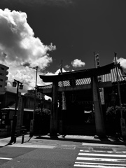 とある博多の神社