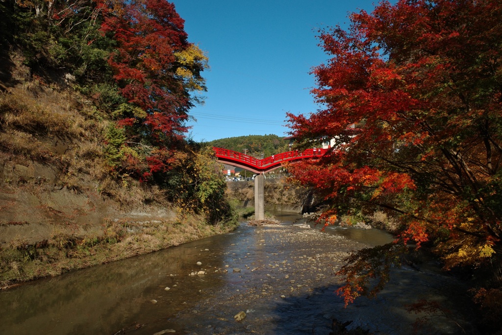 紅葉①