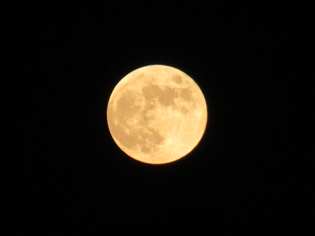 20221108の月　③