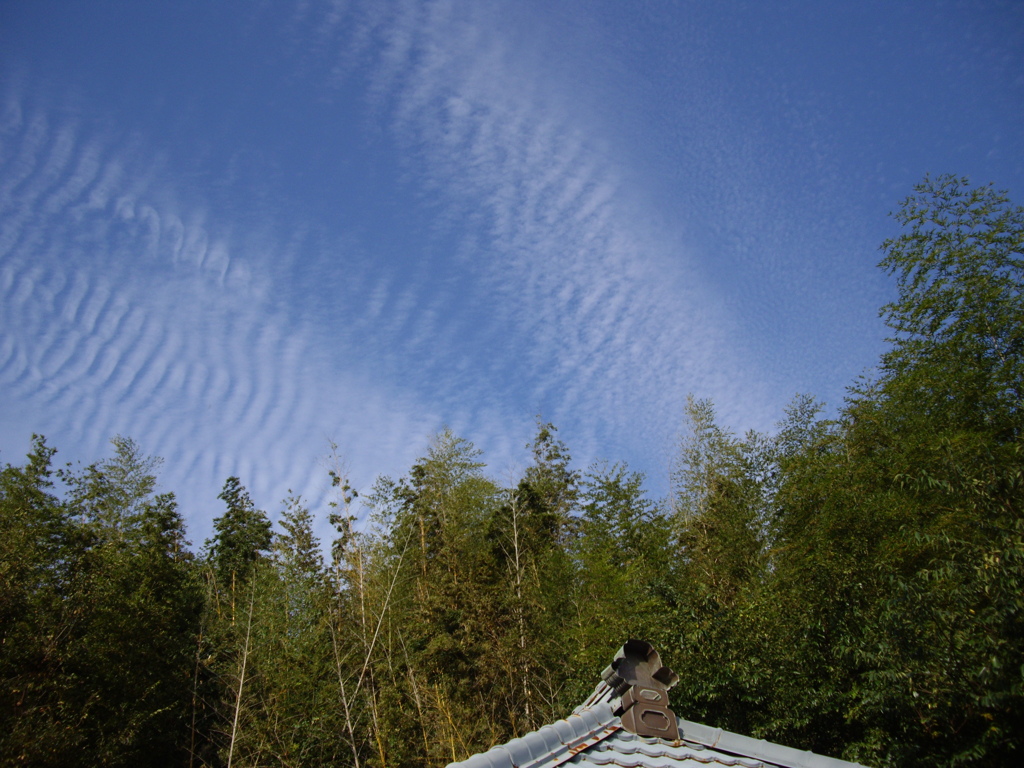 秋の空