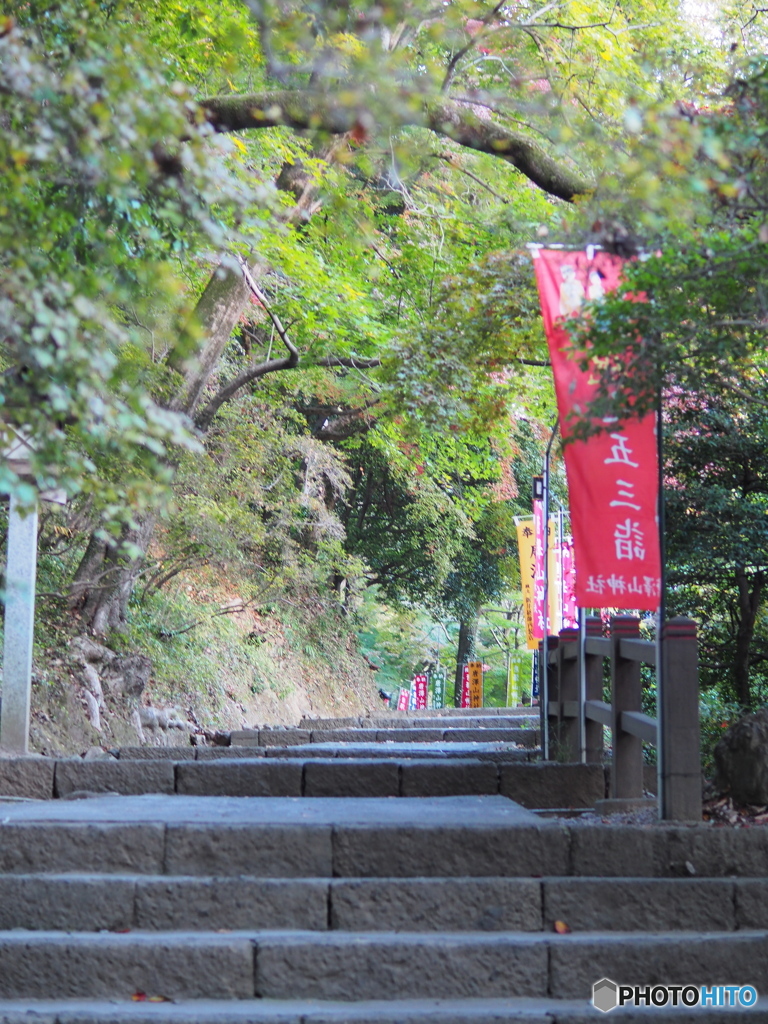 唐沢山神社参道