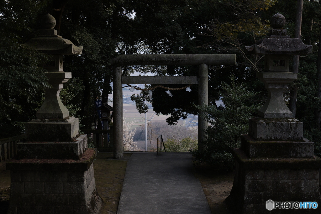 唐沢山神社から２