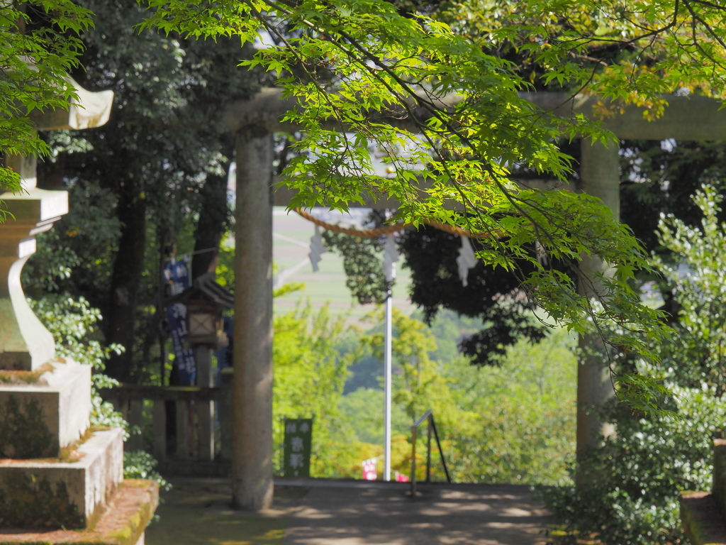 唐澤山神社の鳥居から