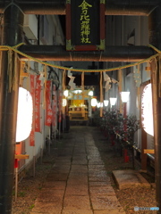 Night shrine