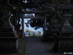 唐沢山神社から見る佐野の町