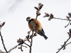 人間は不便やなぁ～