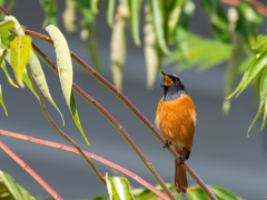 ちょっと控え目に・・・