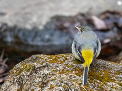 格好は気にしていられない