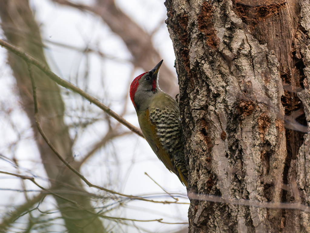 五感を研ぎ澄ます