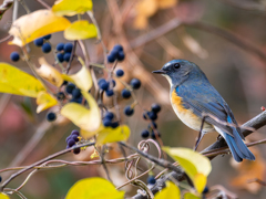 やっと近寄れた幸せ