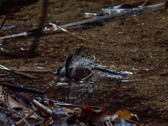 心頭滅却すれば・・・