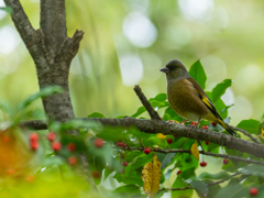 こんな所で・・・