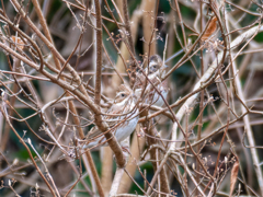嬉しい間違い①
