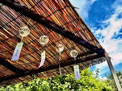 雨上がりの夏空