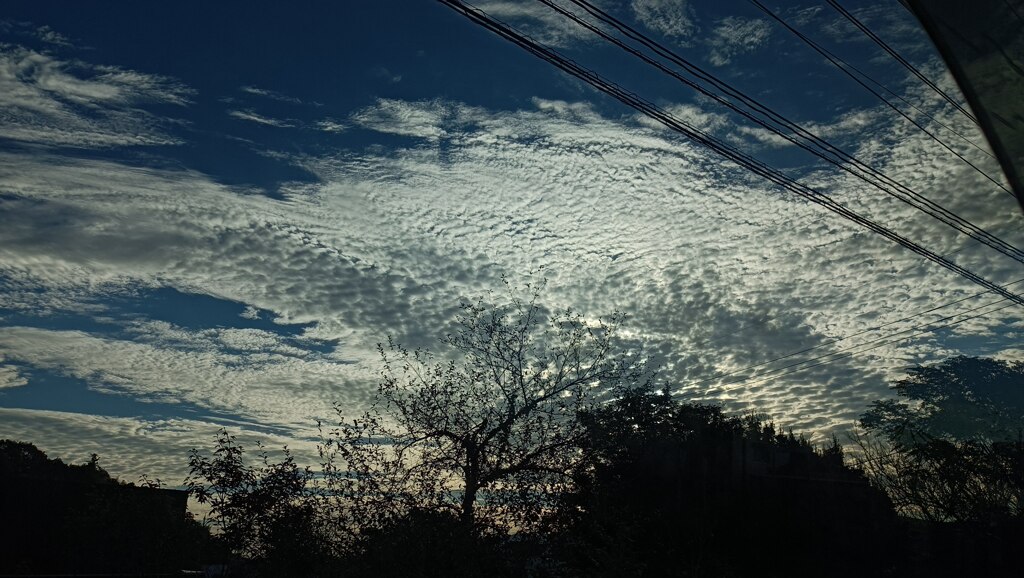 秋空