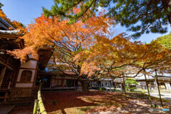 雷山千如寺大悲王院