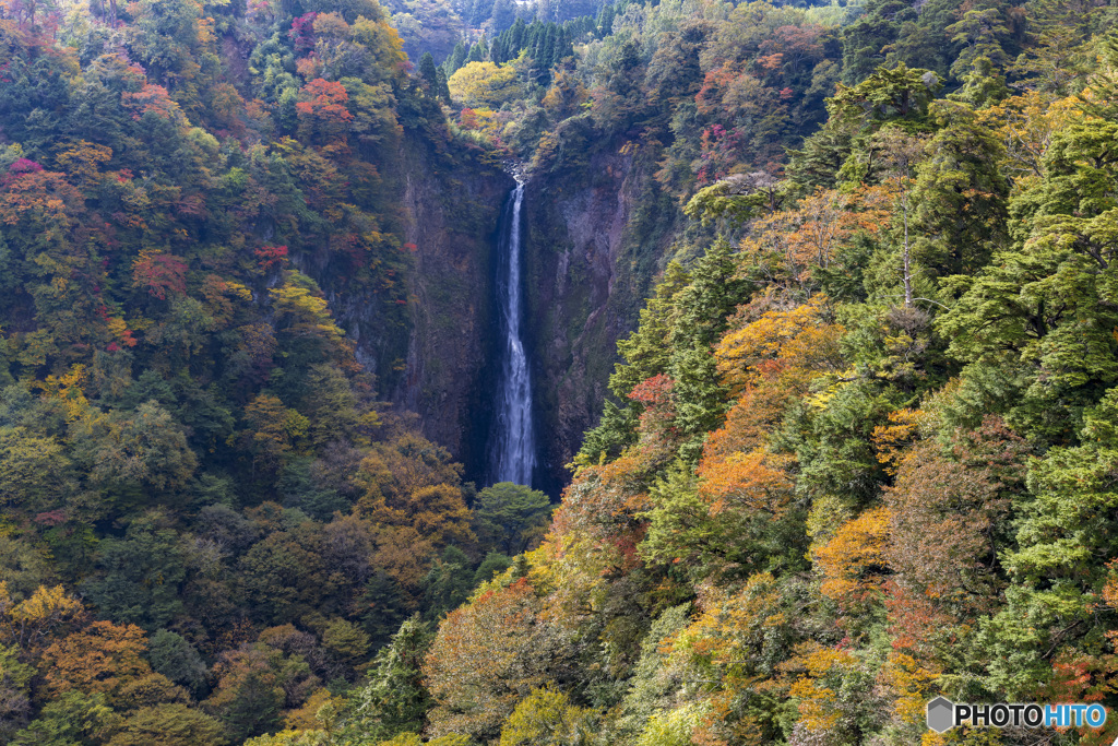 九重夢大橋_2