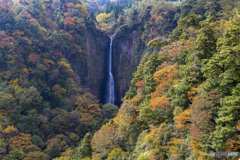 九重夢大橋_2