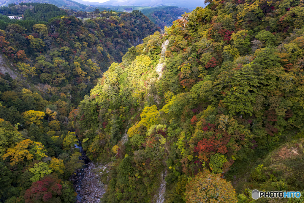 九重夢大橋