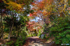 環境芸術の森5