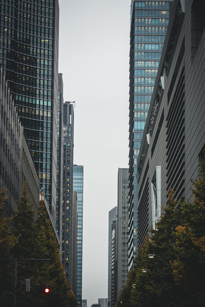 City scope