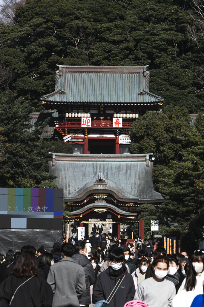 鶴ケ岡　尚早