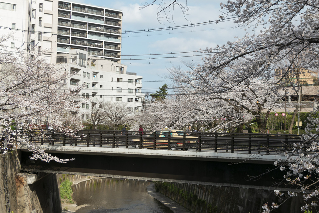 旅立つ季節