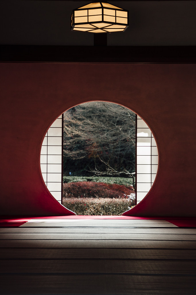 明月院　冬