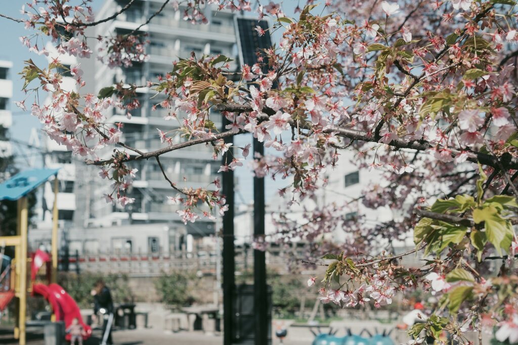 花と電車の見える午後