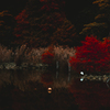 dyeing pond