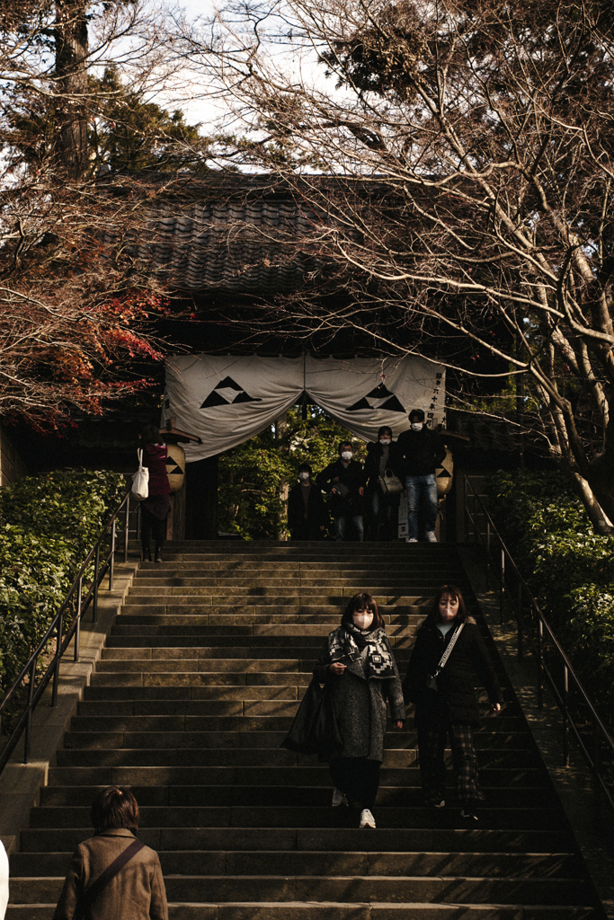 ある寒い日の鎌倉