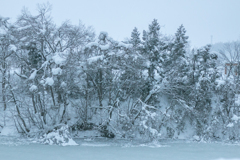 しおり雪