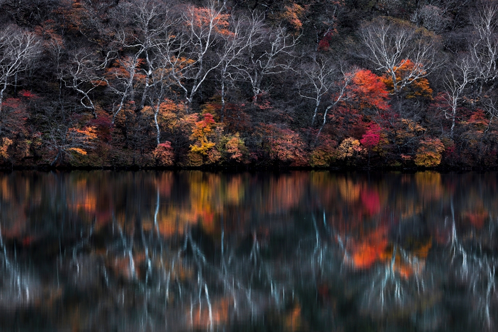 秋の小沼