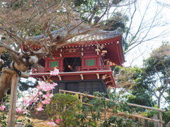 鐘楼堂❬真間山 弘法寺❭