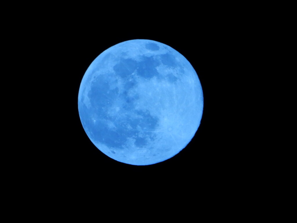 静かに燃える闘志