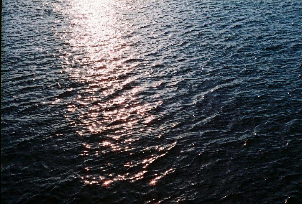 夕日