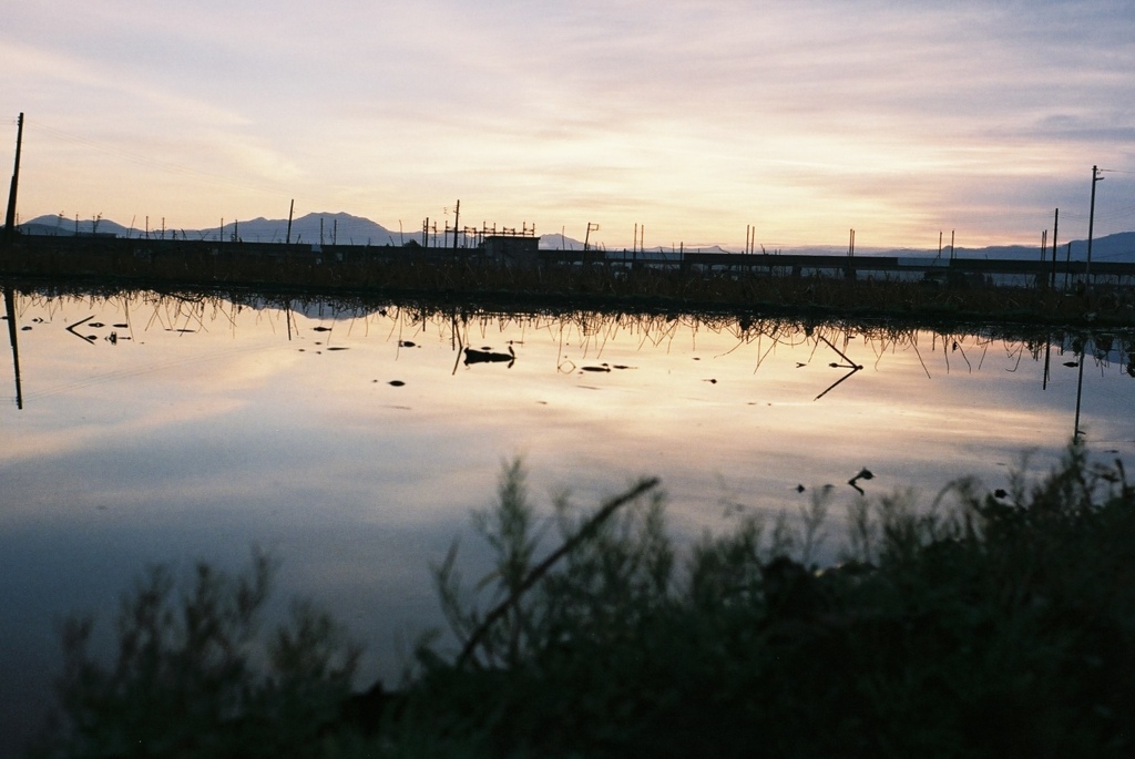 池