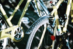自転車置き場にて