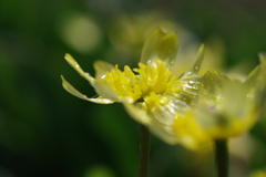 IMGP0747