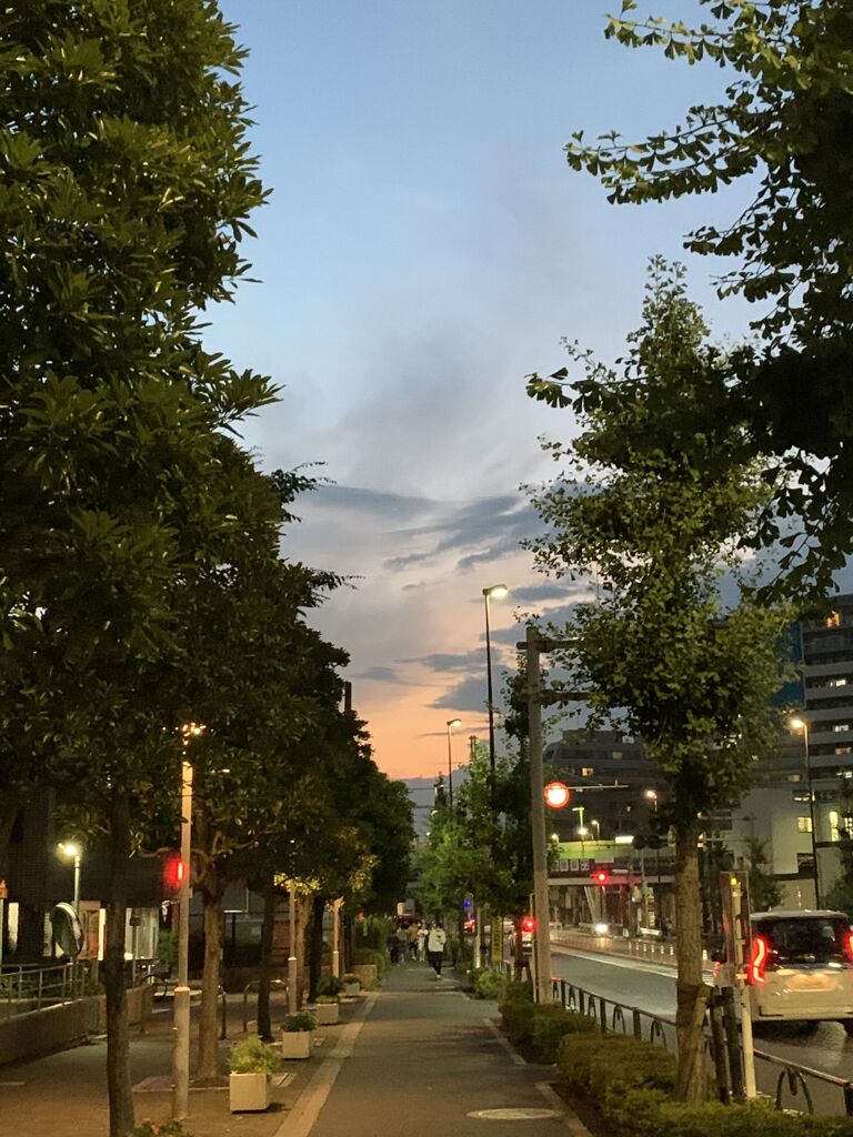 東條賢士の哀愁漂う夕焼け空