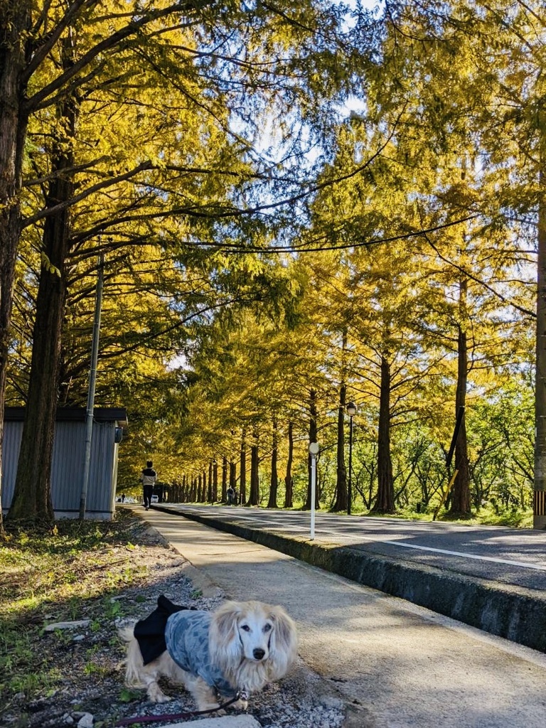 7BD069E6-15FA-4EF9-8D8B-0FBC6E5744F0