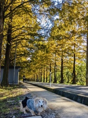 7BD069E6-15FA-4EF9-8D8B-0FBC6E5744F0