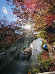 1874CF26-BA97-4054-AA6A-A5CCA5EBDCEA