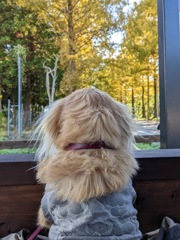 951130DE-0F29-4B76-9558-5A45D3C2C2A1