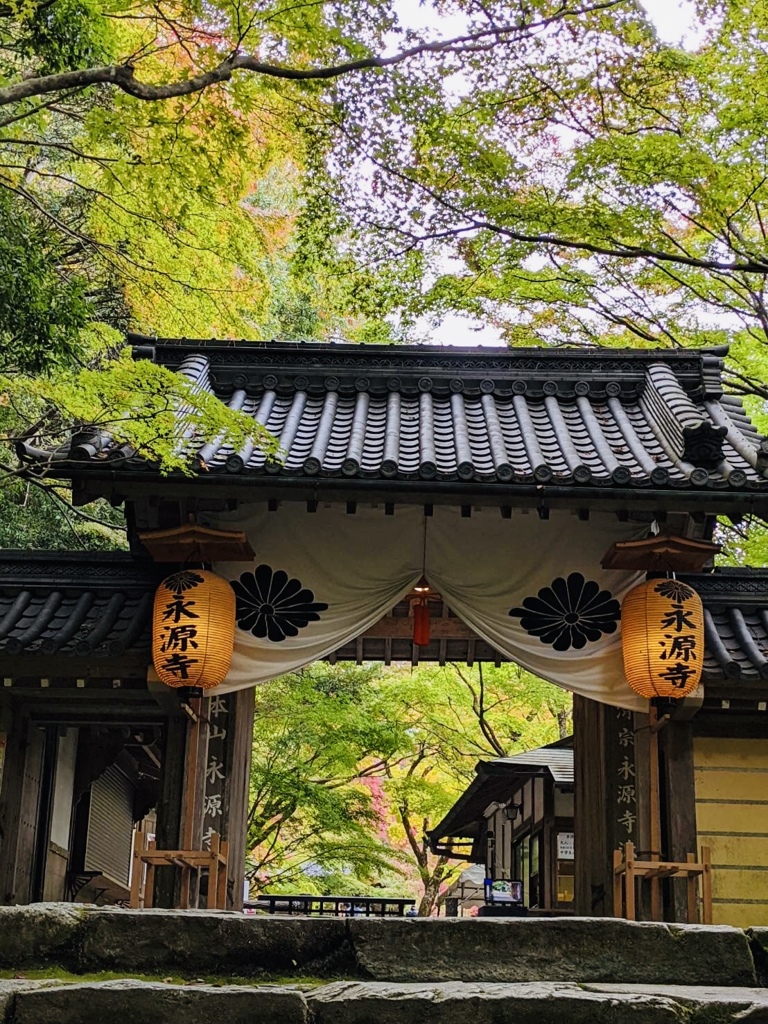 C37995B8-C76E-4271-9C73-7B18EAA8E19E