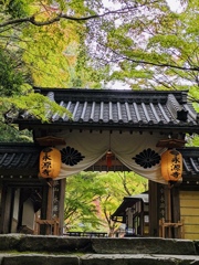 C37995B8-C76E-4271-9C73-7B18EAA8E19E