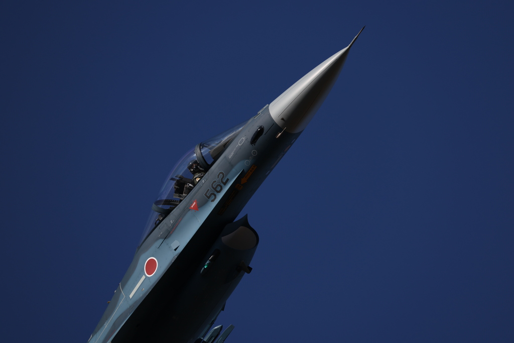 今日の撮って出し