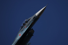 今日の撮って出し