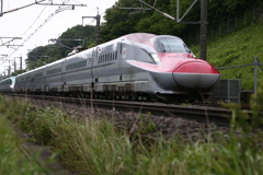 秋田こまち