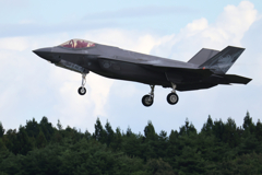 F-35A　Chief　念願のデカカエル